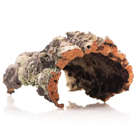 Kora z Dębu Korkowego - na wagę-1910495