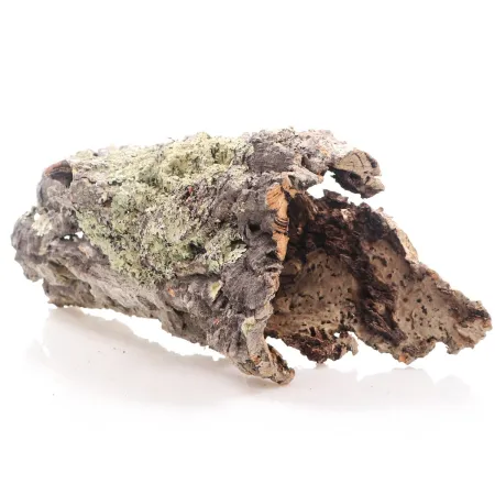 Kora z Dębu Korkowego XXL - na wagę-1910514