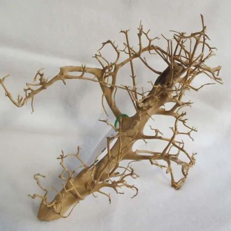 Korzeń dekoracyjny Drift Wood-1910529