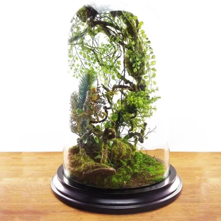 Korzeń dekoracyjny Drift Wood-1910534