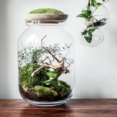 Korzeń dekoracyjny Drift Wood-1910535