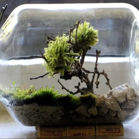 Korzeń dekoracyjny Drift Wood-1910536