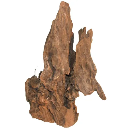 Korzeń mangrowiec  1000g-1910538