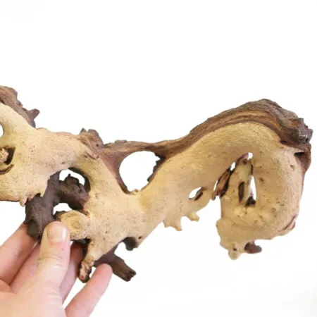 Korzeń Mopani 1kg-1910544