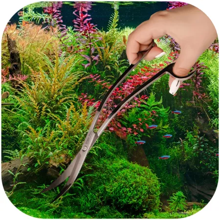 Kruger Meier Pflanzenschere Winkt - nożyce fala 25cm-1910978