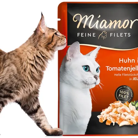 Miamor Filets Huhn in Tomatenjelly - kura w galarecie pomidorowej 100g-1911769