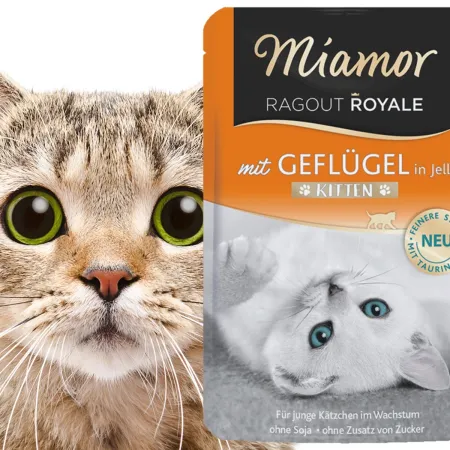 Miamor Royale Kitten - karma dla kociąt drób w galarecie 100g-1911818