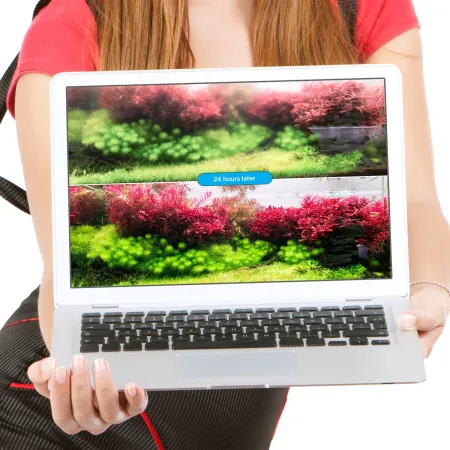 Neo Clean 300ml - czyszczenie wody-1912220