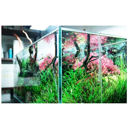 Neo Diffuser Clip Large - dyfuzor CO2 z kolankiem-1912237