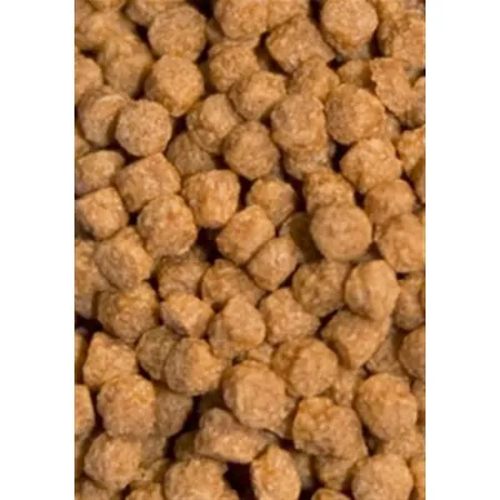 Ocean Nutrition Atison,s Betta Food 15g (pokarm dla bojowników)-1913703