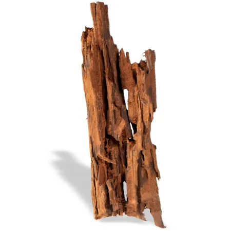 Philippines Classic Driftwood - drzewo mangrowca z wody L 30cm - 40cm-1914202