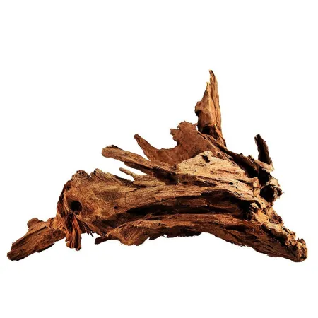 Philippines Classic Driftwood - drzewo mangrowca z wody L 30cm - 40cm-1914206