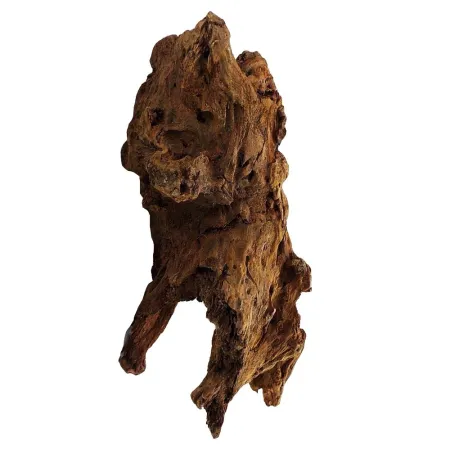 Philippines Classic Driftwood - drzewo mangrowca z wody L 30cm - 40cm-1914208