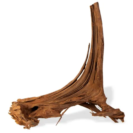 Philippines Classic Driftwood - drzewo mangrowca z wody M 25cm - 30cm-1914210