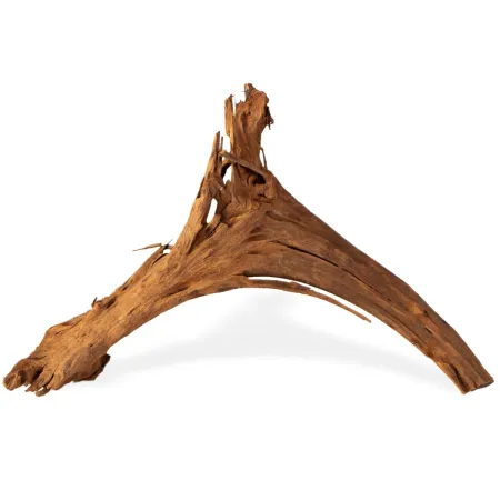 Philippines Classic Driftwood - drzewo mangrowca z wody M 25cm - 30cm-1914212