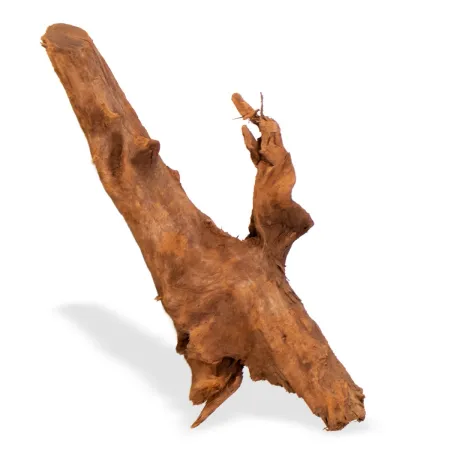 Philippines Classic Driftwood - drzewo mangrowca z wody M 25cm - 30cm-1914216