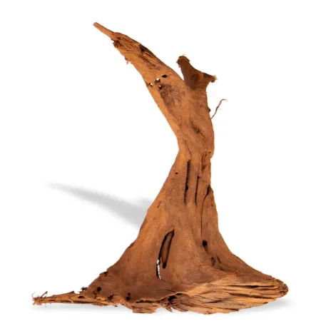 Philippines Classic Driftwood - drzewo mangrowca z wody M 25cm - 30cm-1914217