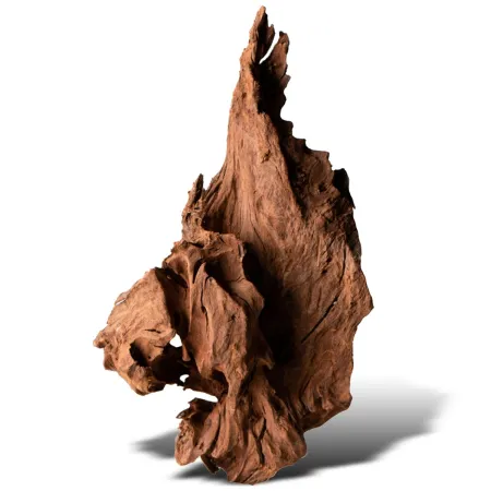 Philippines Classic Driftwood - drzewo mangrowca z wody S ok.20cm-1914222