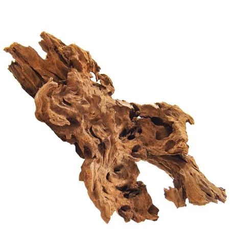 Philippines Classic Driftwood - drzewo mangrowca z wody XL 40cm - 50cm-1914236