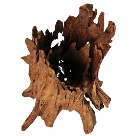 Philippines Classic Driftwood - drzewo mangrowca z wody XL 40cm - 50cm-1914237
