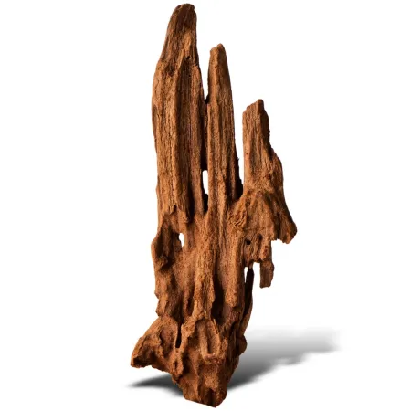 Philippines Classic Driftwood - drzewo mangrowca z wody XS ok.16cm-1914247