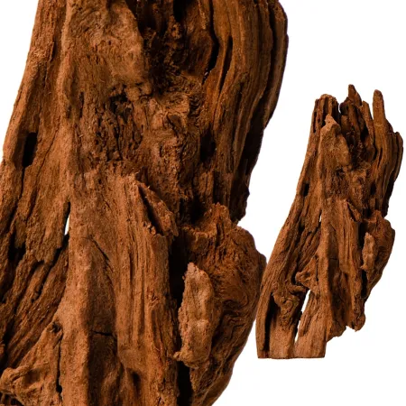 Philippines Classic Driftwood - drzewo mangrowca z wody XS ok.16cm-1914249