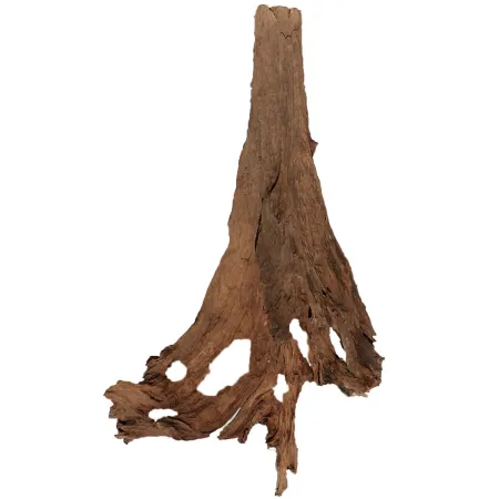 Philippines Classic Driftwood - drzewo mangrowca z wody XXL 70cm - 110cm-1914253