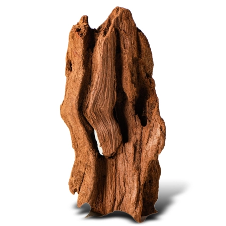 Philippines Classic Driftwood - drzewo mangrowca z wody XXS ok.10cm-1914265