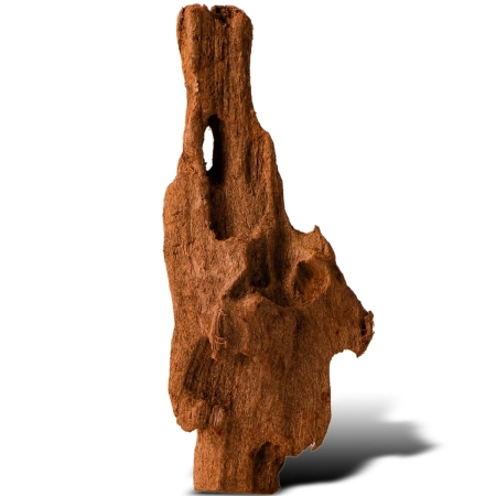 Philippines Classic Driftwood - drzewo mangrowca z wody XXS ok.10cm-1914266