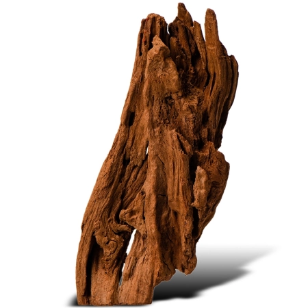Philippines Classic Driftwood - drzewo mangrowca z wody XXS ok.10cm-1914269