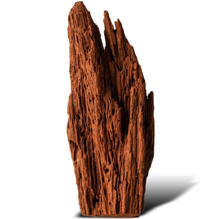 Philippines Classic Driftwood - drzewo mangrowca z wody XXS ok.10cm-1914271