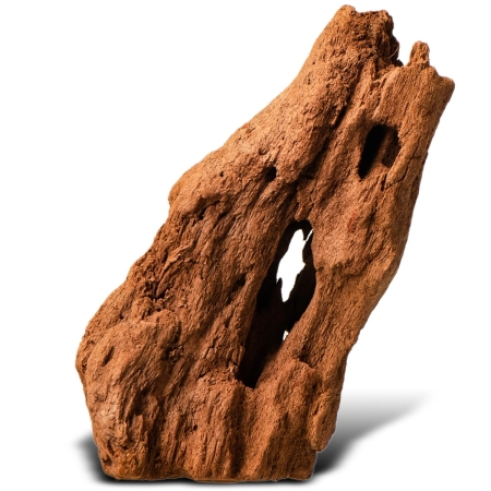 Philippines Classic Driftwood - drzewo mangrowca z wody XXS ok.10cm-1914272