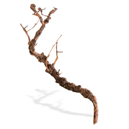 Philippines Drift Wood - korzeń dekoracyjny na sztuki-1914284