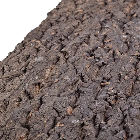 Repti-Zoo Big Tree Background - tło z kory do terrarium 20x30cm-1914747