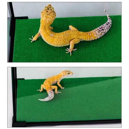 Repti-Zoo Carpet Mat - podłoże do terrarium-1914799
