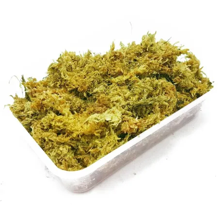 Repti-Zoo Chile's Sphagnum moss - mech torowiec 4,5l-1914909