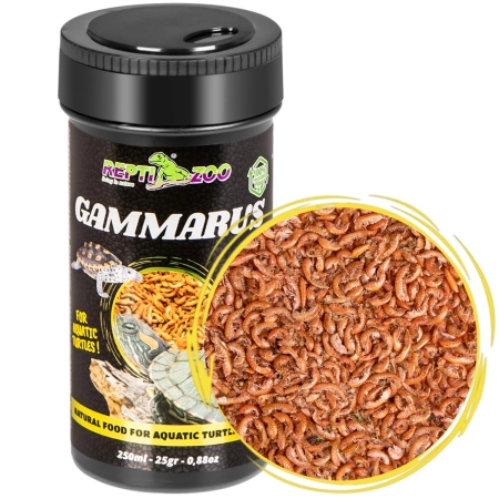 Repti-Zoo Gammarus 250ml - kiełż zdrojowy-1915188