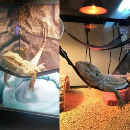 Repti-Zoo Hammock M - hamak dla gadów-1915238