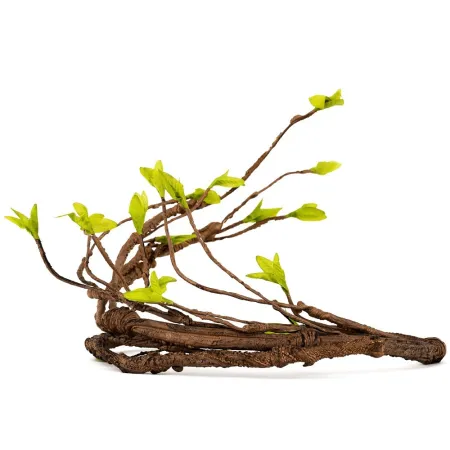 Repti-Zoo Jungle Tree - liana / drzewko gięte-1915479