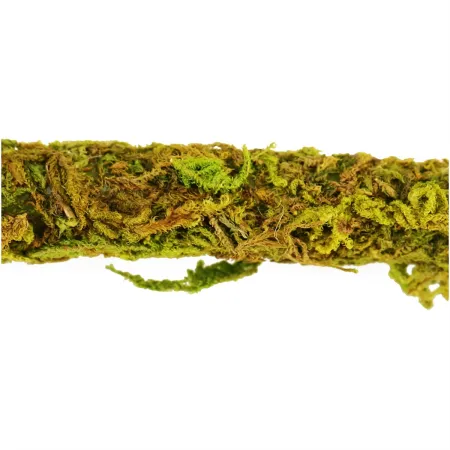 Repti-Zoo Liana z naturalnym mchem 1cm x 2m-1915541