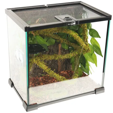 Repti-Zoo Liana z naturalnym mchem 1cm x 2m-1915547