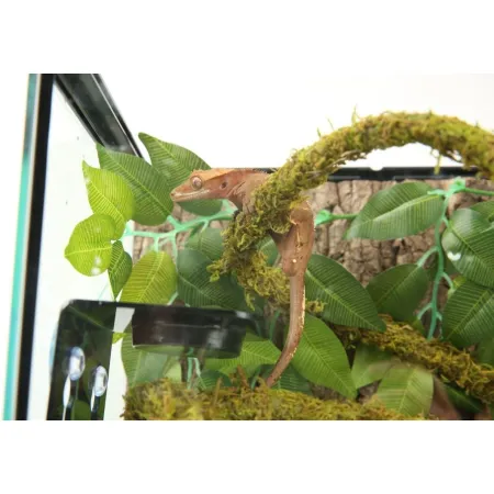 Repti-Zoo miseczka wieszana-1915739