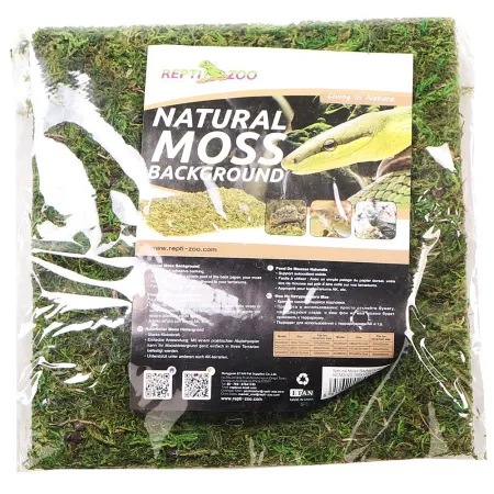 Repti-Zoo Natural Moss Back&Bottom - tło i podłoże z mchu 20x20cm-1915832