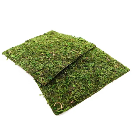 Repti-Zoo Natural Moss Back&Bottom - tło i podłoże z mchu 20x20cm-1915834
