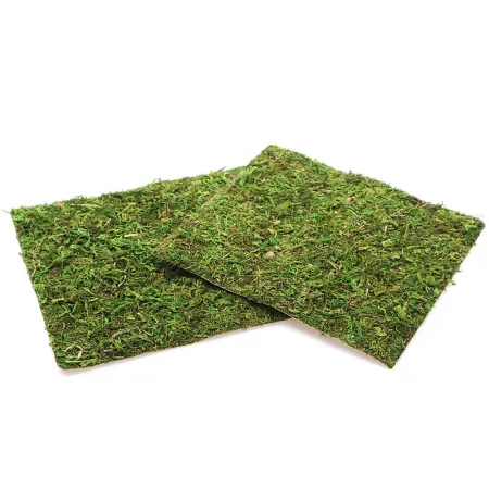 Repti-Zoo Natural Moss Back&Bottom - tło i podłoże z mchu 20x20cm-1915835