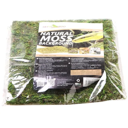 Repti-Zoo Natural Moss Back&Bottom - tło i podłoże z mchu 20x20cm-1915838
