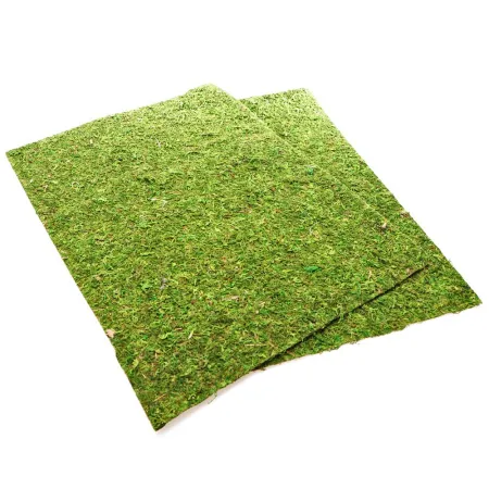 Repti-Zoo Natural Moss Back&Bottom - tło i podłoże z mchu 20x30cm-1915844