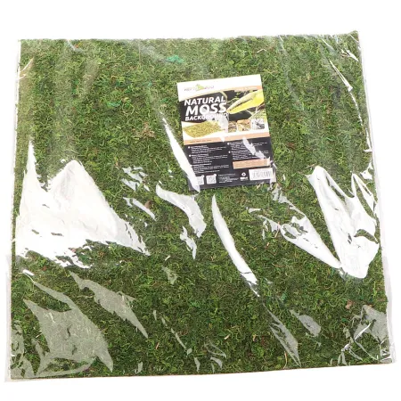 Repti-Zoo Natural Moss Back&Bottom - tło i podłoże z mchu 45x45cm-1915849