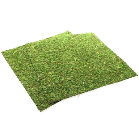 Repti-Zoo Natural Moss Back&Bottom - tło i podłoże z mchu 45x45cm-1915854