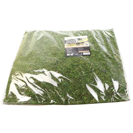 Repti-Zoo Natural Moss Back&Bottom - tło i podłoże z mchu 45x45cm-1915857